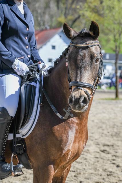 关键战役中 关键战役中