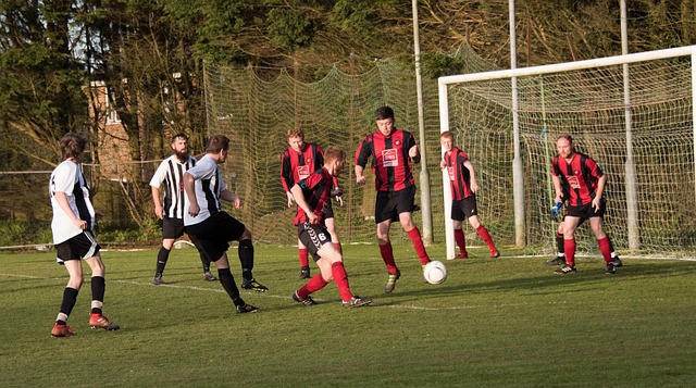 寒潮的来临 寒潮的来临