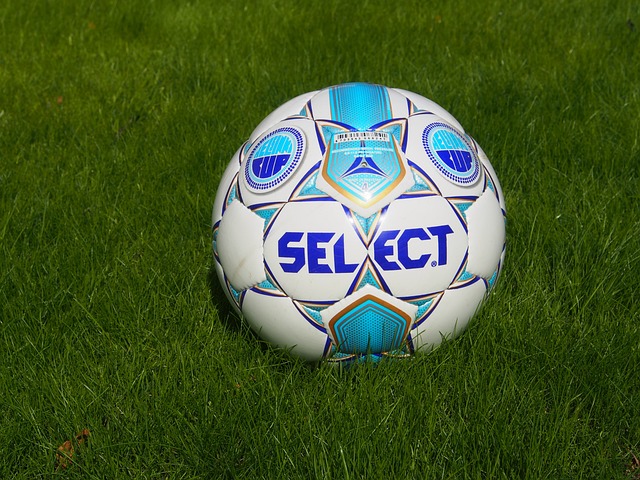 此引入一名 此引入一名