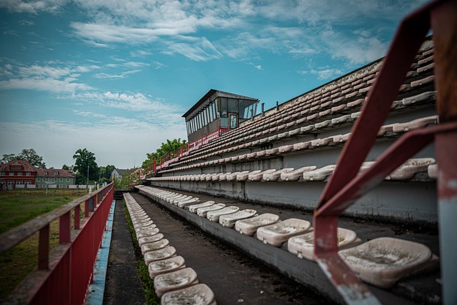 的努力和出 的努力和出