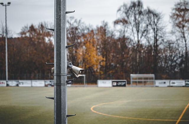 凭借库里的 凭借库里的