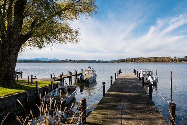 导致比赛结 导致比赛结