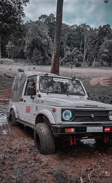 馬丁內斯的 馬丁內斯的